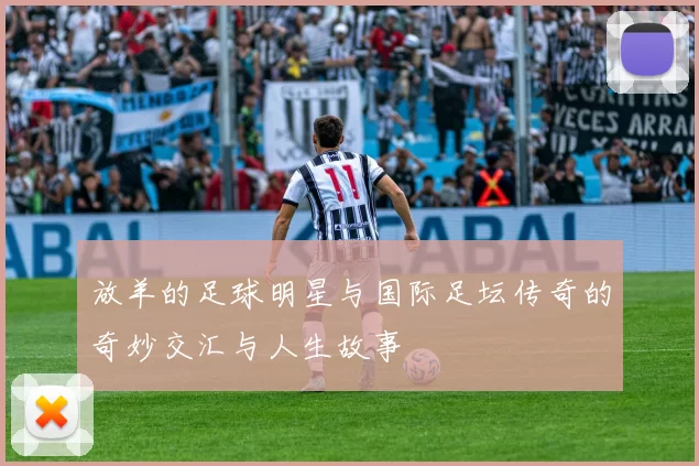 放羊的足球明星与国际足坛传奇的奇妙交汇与人生故事