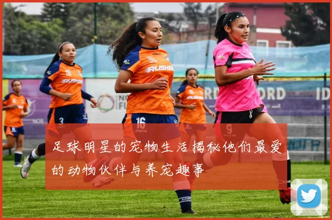 足球明星的宠物生活揭秘他们最爱的动物伙伴与养宠趣事