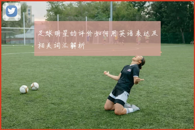 足球明星的评价如何用英语表达及相关词汇解析