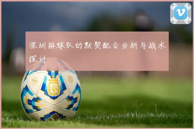 深圳排球队的默契配合分析与战术探讨