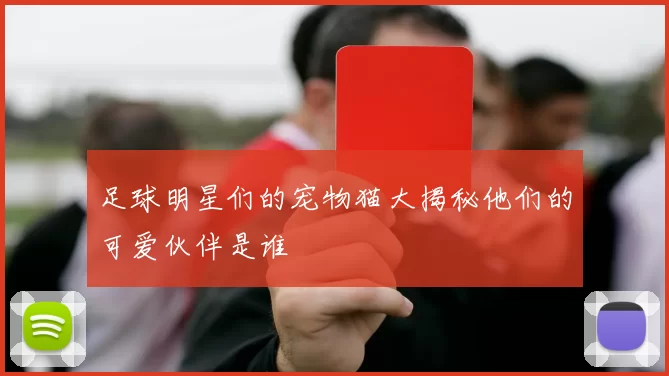 足球明星们的宠物猫大揭秘他们的可爱伙伴是谁