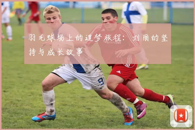 羽毛球场上的追梦旅程：刘丽的坚持与成长故事