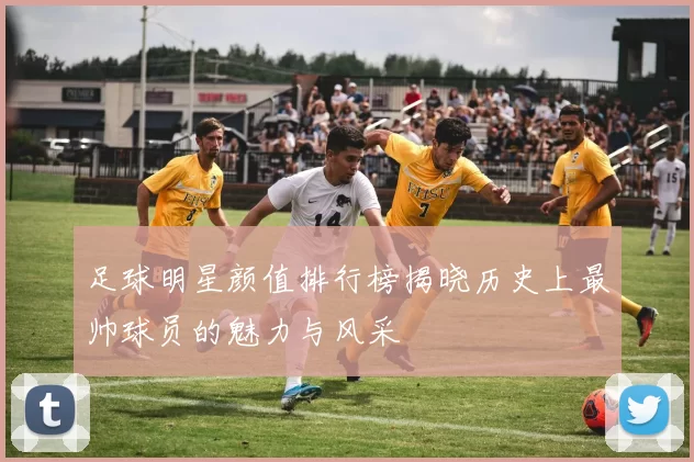 足球明星颜值排行榜揭晓历史上最帅球员的魅力与风采