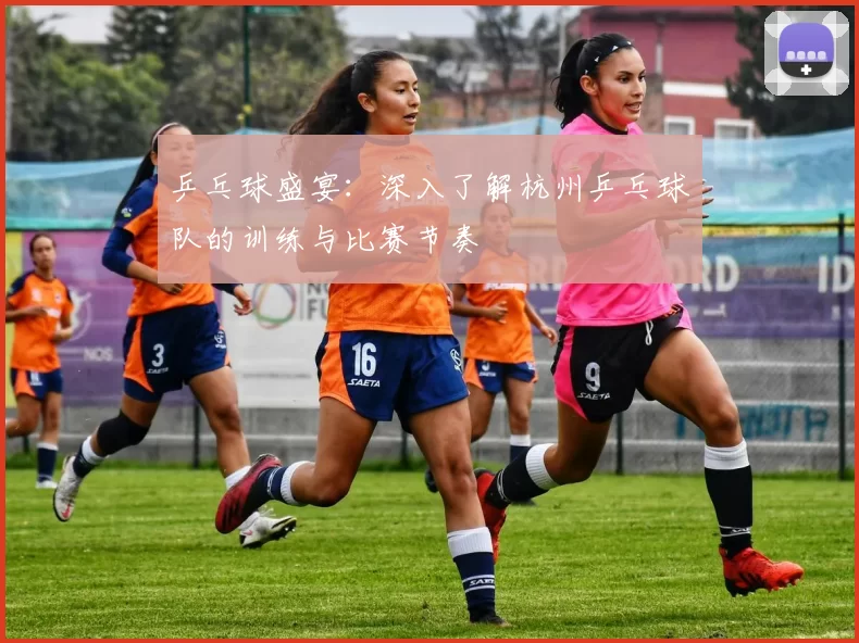 乒乓球盛宴：深入了解杭州乒乓球队的训练与比赛节奏